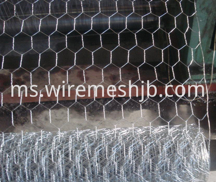 Galvanized Chicken Wire